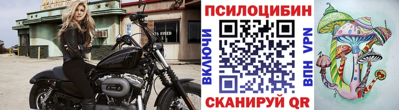 Галлюциногенные грибы мицелий  Белокуриха 